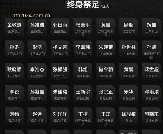 hth华体会2024登录入口 足协第三批禁足名单深度解读:行业观察者的一线观察与实用分析